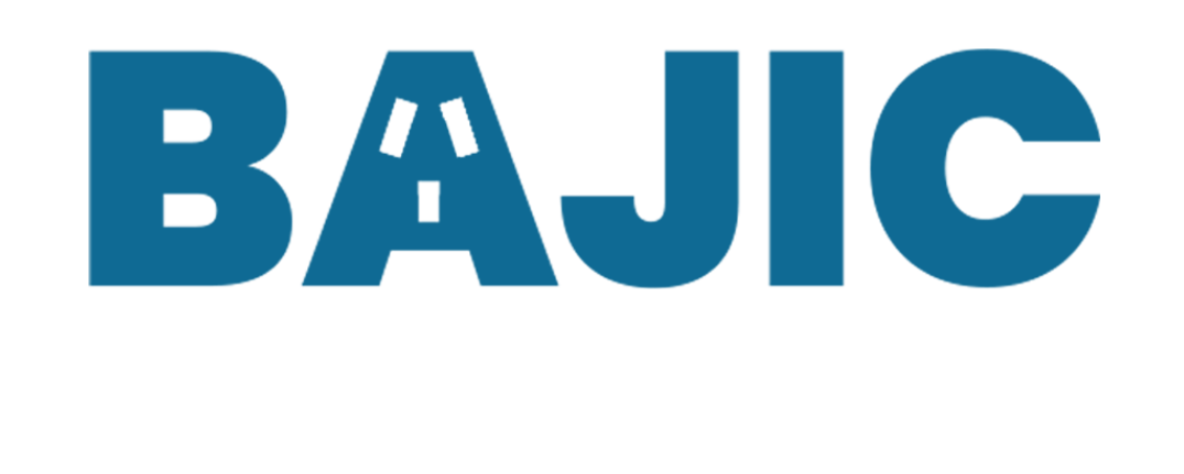 Bajic Electrical logo